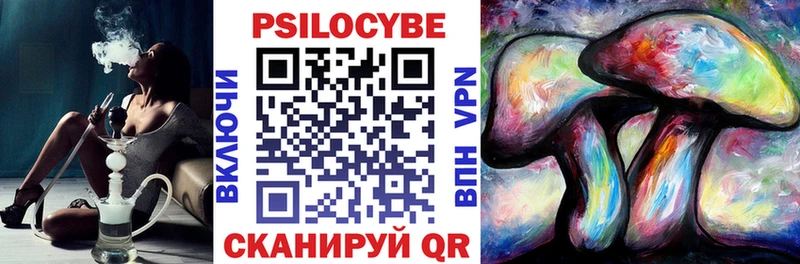 Псилоцибиновые грибы Cubensis  где купить   блэк спрут ССЫЛКА  Чекалин 